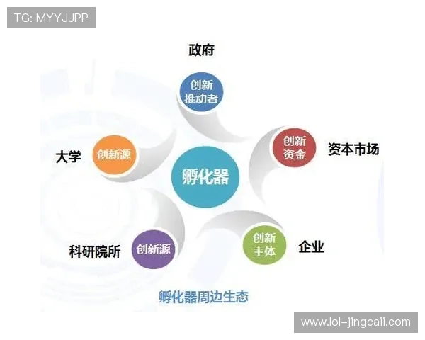 探索千亿体育登录平台的优势与特色服务